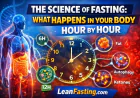 The Science of Fasting: What Happens in Your Body Hour by Hour